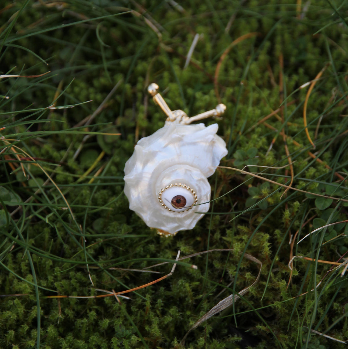 Golden Snail Ring 'Garden Hermit'